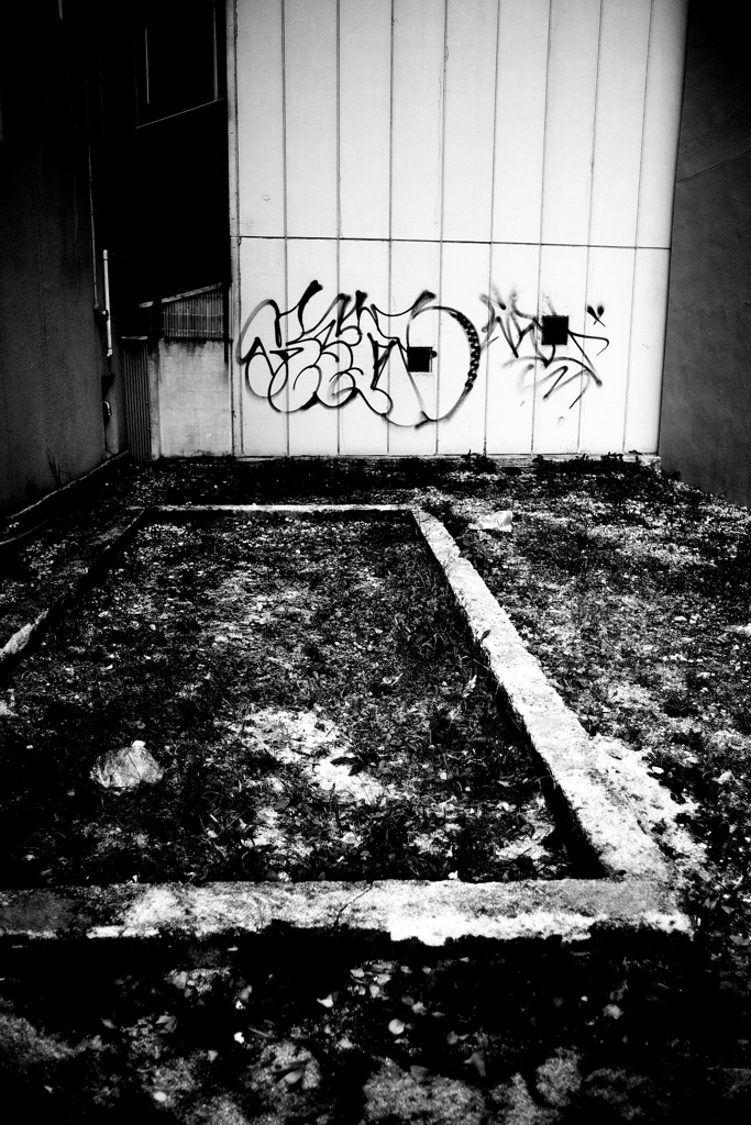 DSC05888-2bwSLK