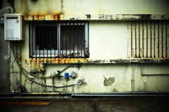 R0019811clrSLK