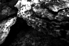 R0019500bwSLK