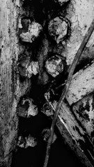 IMG_20160323_110122~2