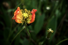 R0018559clrSLK
