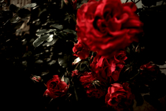 DSC00371clrSLK