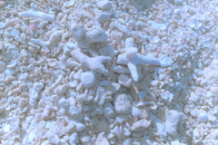 R0019572clrSLK