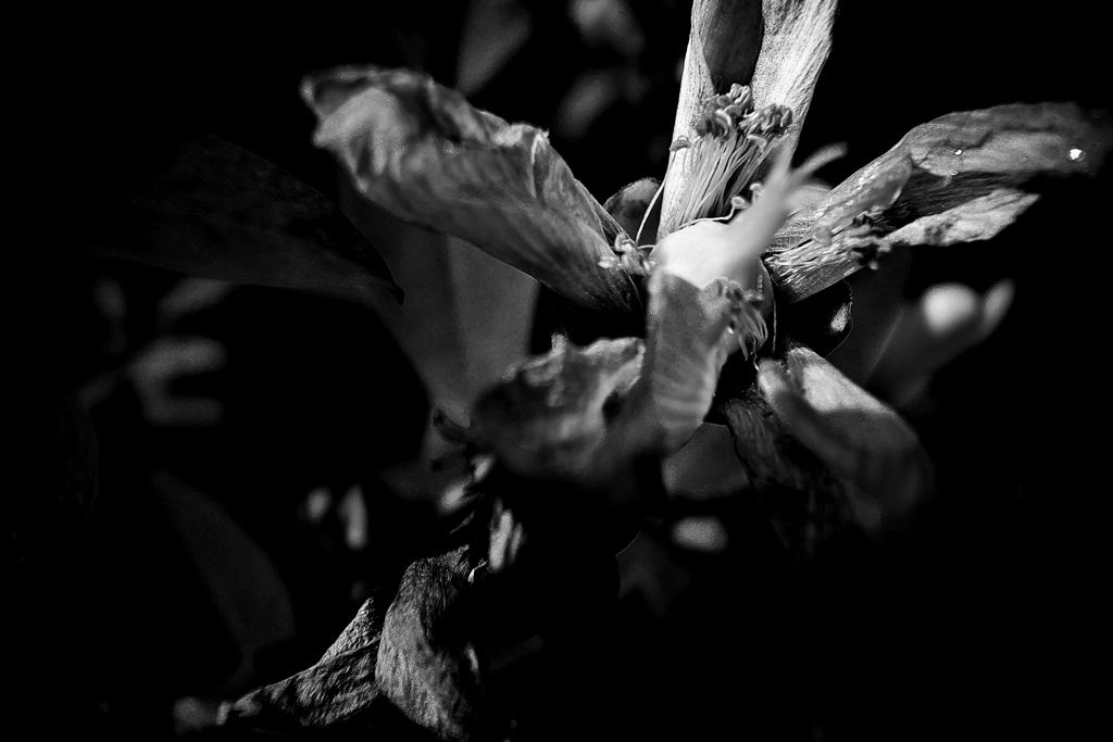 R0019101bwSLK