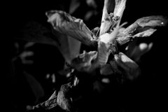R0019101bwSLK