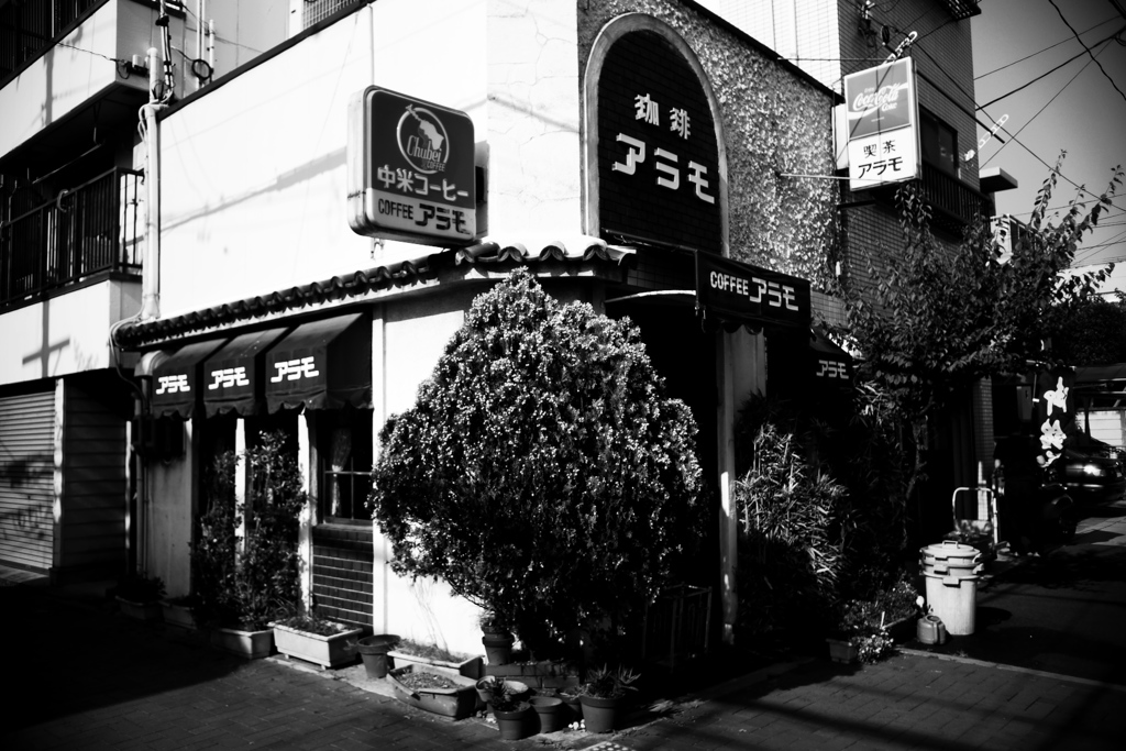 DSC09188bwSR