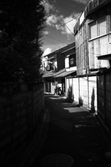 DSC08491bwSLK