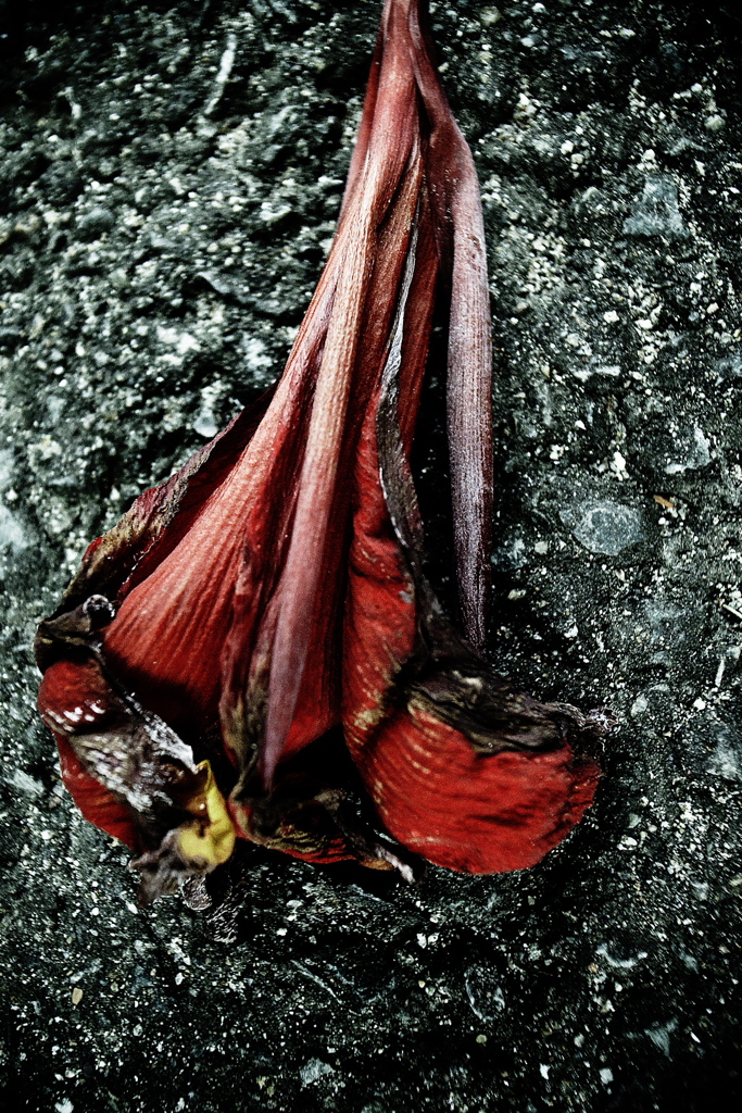 R0019408clrSLK