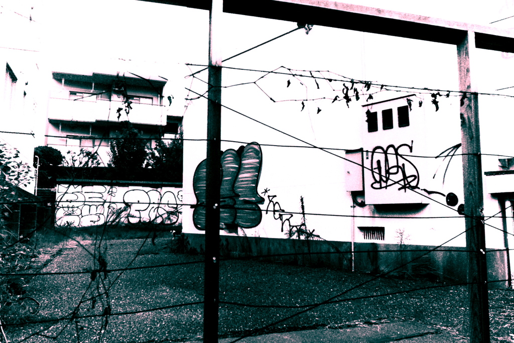R0019923bwSLK