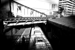DSC04631bwSLK