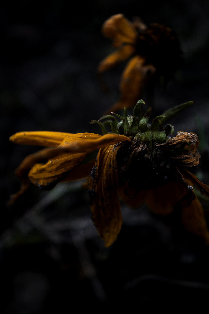 R0019874-2clrSLK