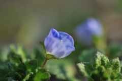 034