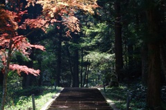 山道