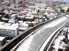 雪が降った！