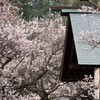 北海道神宮で