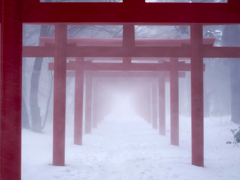 神社で