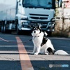 トラックステーション