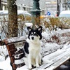 冬のベンチで