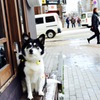 師走のすすきの