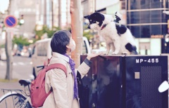 おばさんと犬