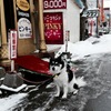 師走のすすきの.2