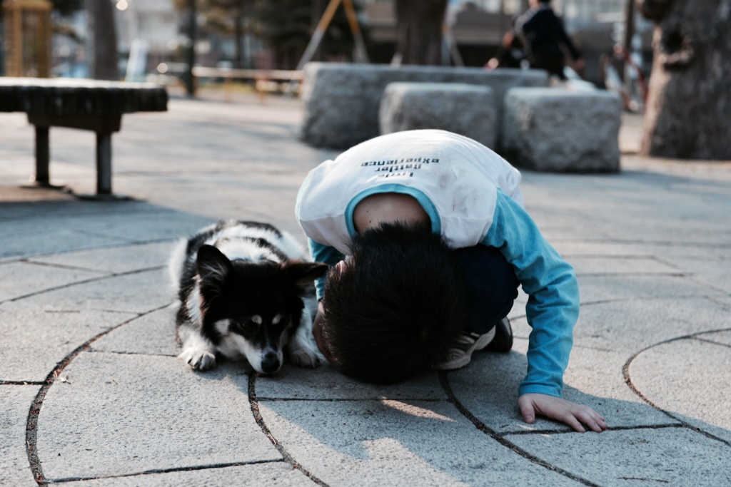 犬と子供