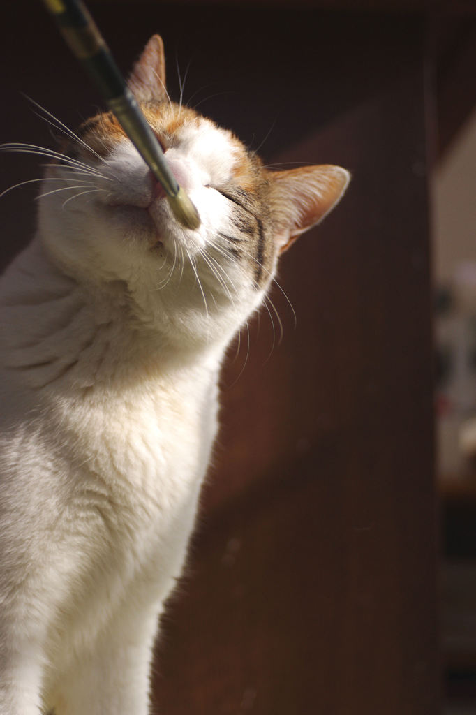 変なにおい。。。