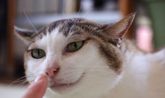 どうよ？