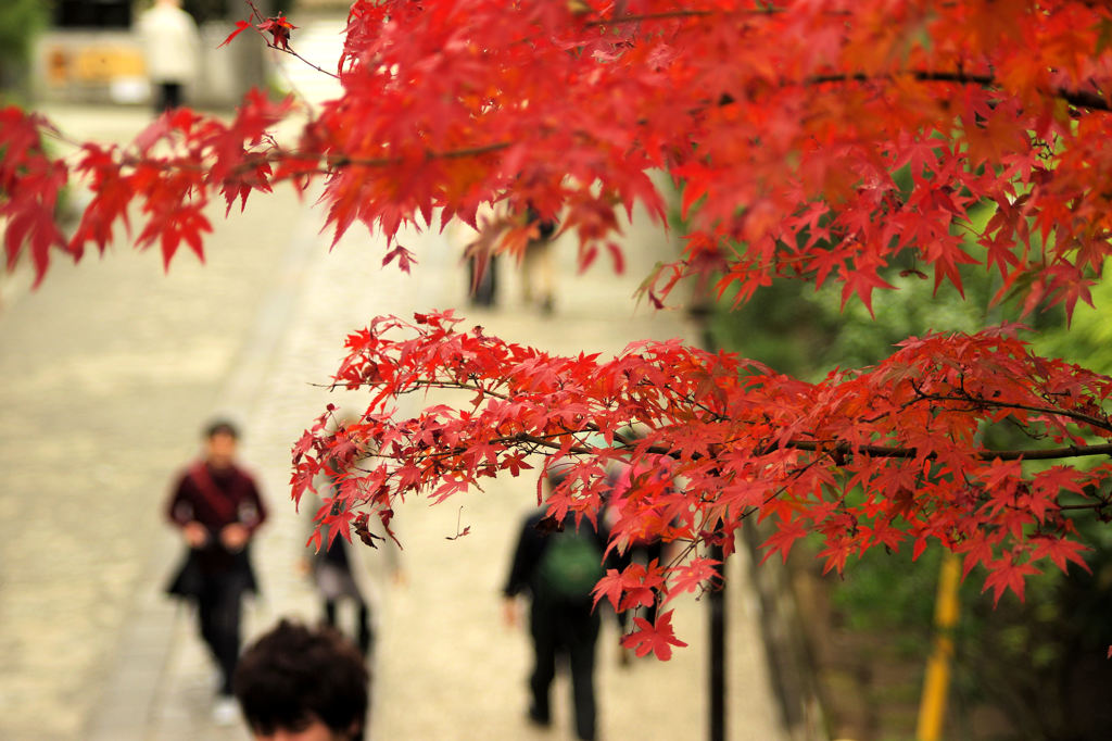 建長寺　半僧坊へ