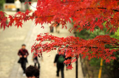 建長寺　半僧坊へ