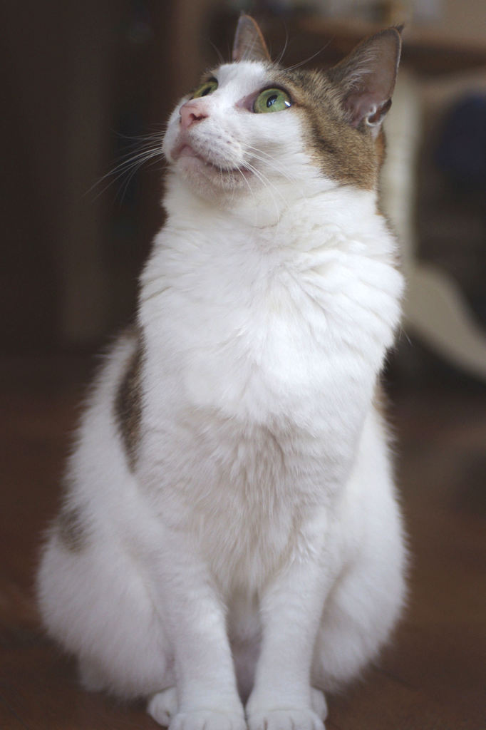 おかえり！