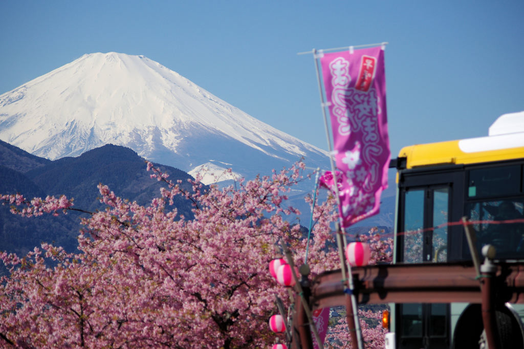 ピーカンの富士