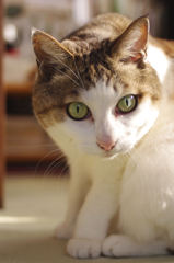 何食べてんの？