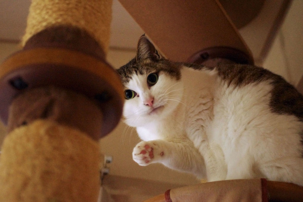 さっき、見られちゃってさぁ