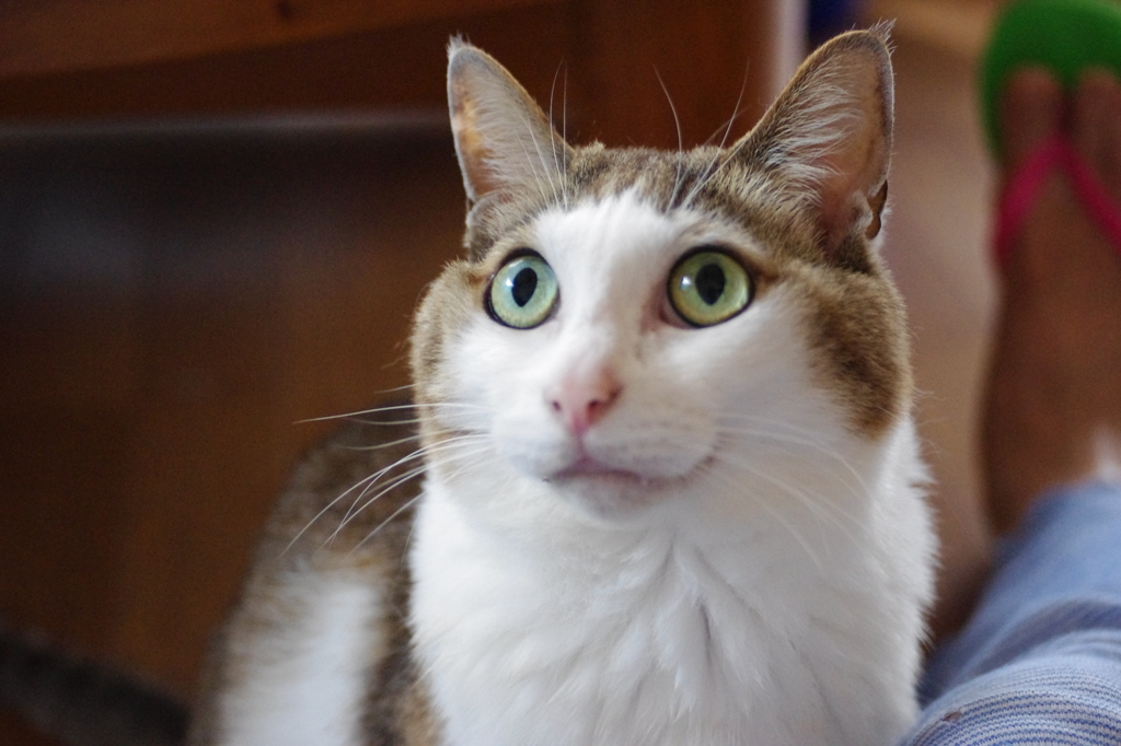 看脚下