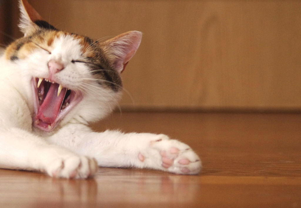 暑いわねぇ～！