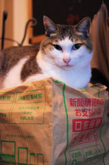お支払いは口座振替、、、
