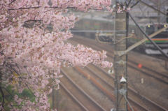 東海道線、下り。