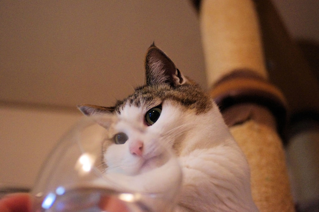 これは水じゃないわw