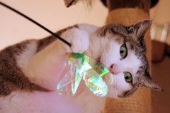 あついですねぇ