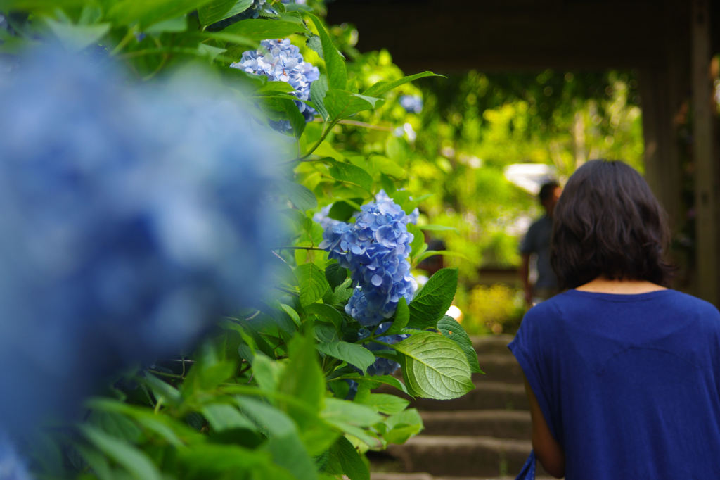 She is in blue♪
