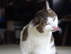 助けてくれ！