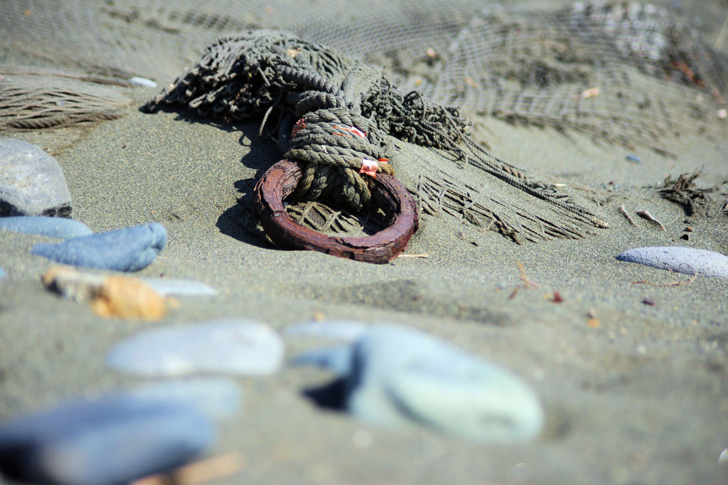 砂浜の忘れ物