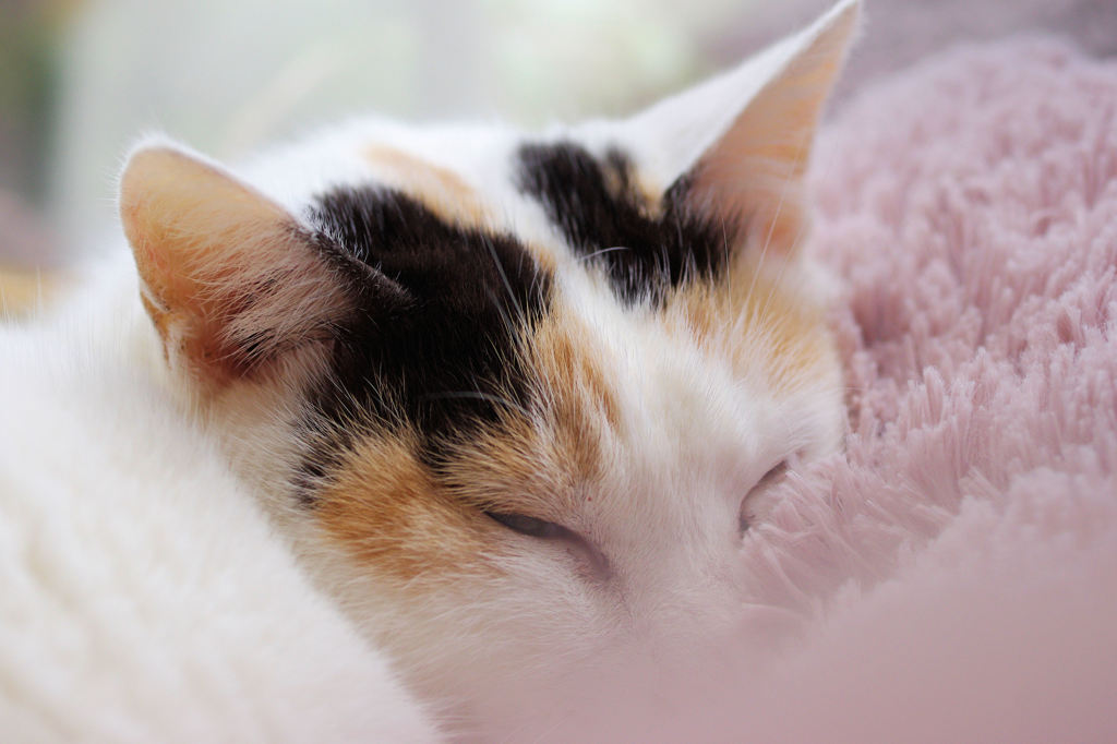 そうゆう時もある。。。