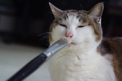 ムムムッ
