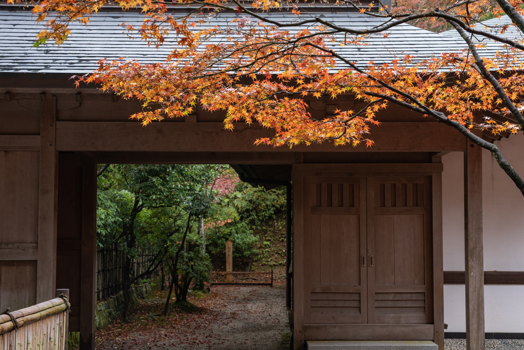 呑山観音寺