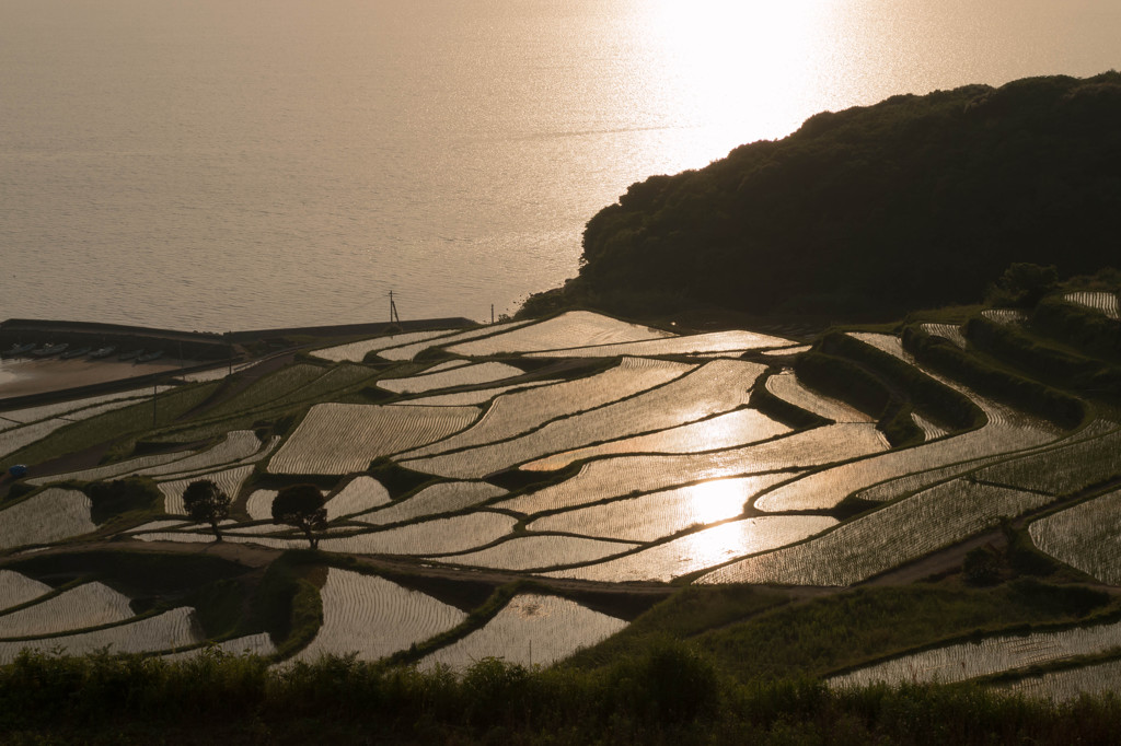 土谷棚田