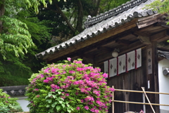 長谷寺 月輪院