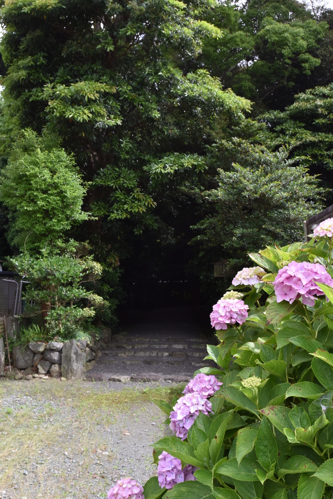 堅田神社　入り口