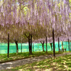 農業公園にて